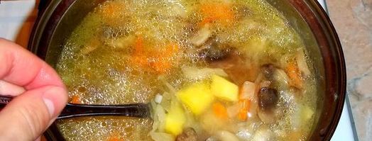 грибные щи из квашеной капусты. Шаг 9