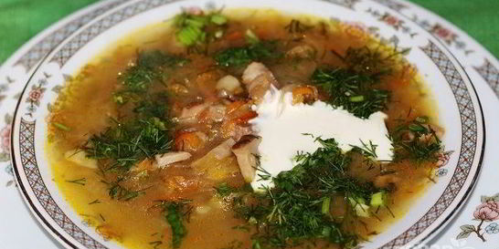 Кислые щи из квашеной капусты с грибами