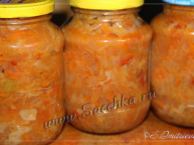 Рецепт классических щей с капустой на зиму