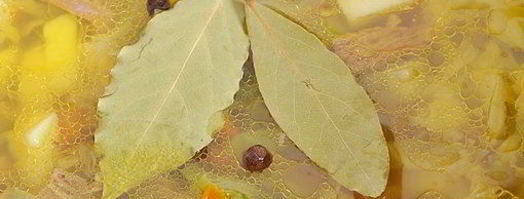 летние щи из свежей капусты. Шаг 11