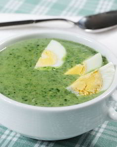 Летние зеленые щи