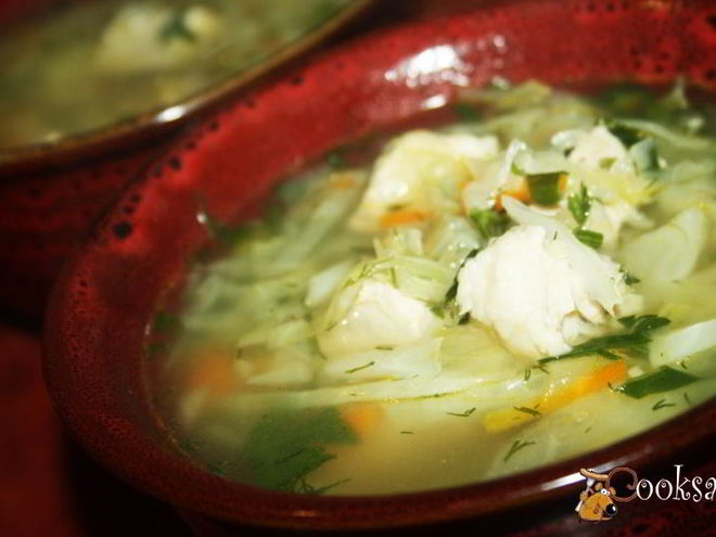 Рецепт простых щей со свининой и свежей капустой