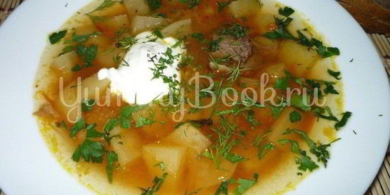 Русские кислые щи из мультиварки