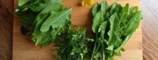 щи из одуванчиков. Шаг 4