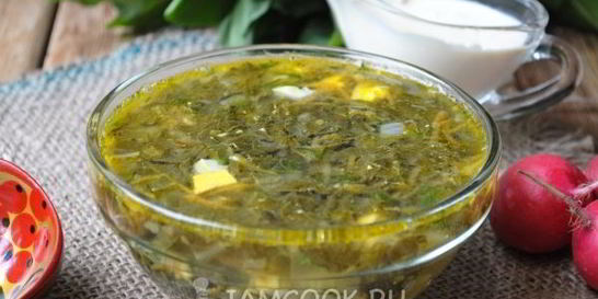 Щи из щавеля на курином бульоне