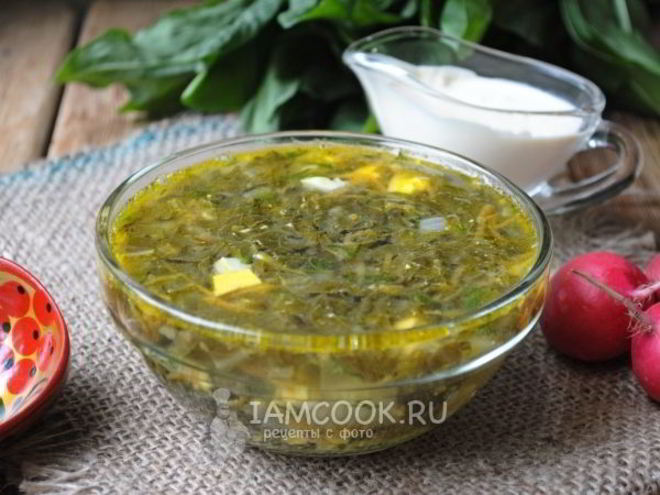 Рецепт щей из щавеля на курином бульоне