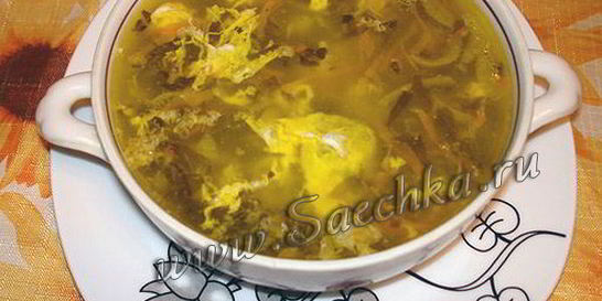 Зеленые щи из щавеля