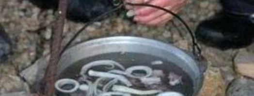 шурпа из баранины с нутом. Шаг 5