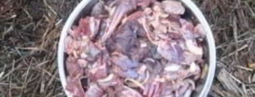 шурпа из зайца. Шаг 6