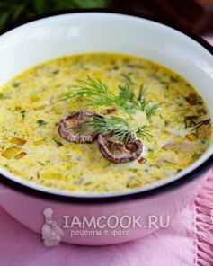 Сливочный суп с грибами и плавленным сыром