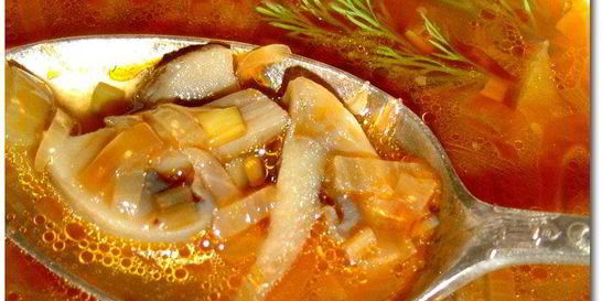 Грибная солянка