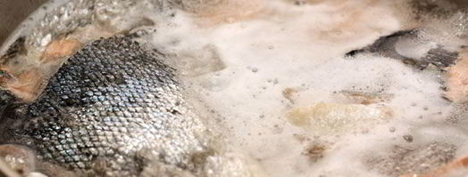 рыбная солянка с семгой. Шаг 3