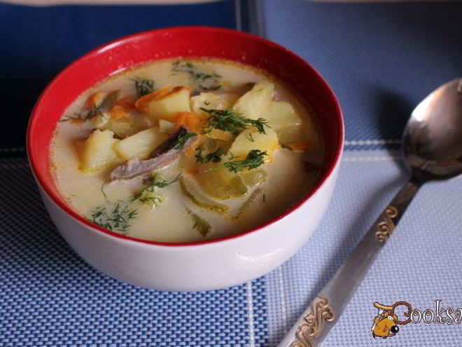 Рецепт супа из говяжьего сердца с маринованными огурцами и домашней сметаной