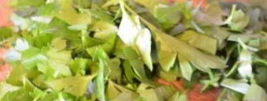 суп харчо оригинальный. Шаг 7