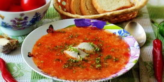 Суп Харчо с индейкой