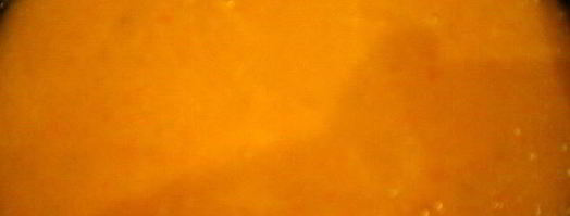 томатный суп-пюре с костным мозгом. Шаг 4