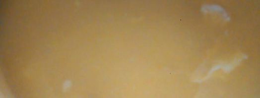 тыквенный суп-пюре с курицей. Шаг 4