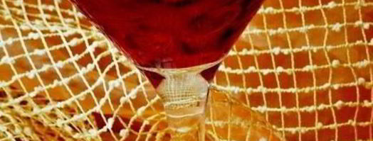 холодный свекольник с креветками. Шаг 9