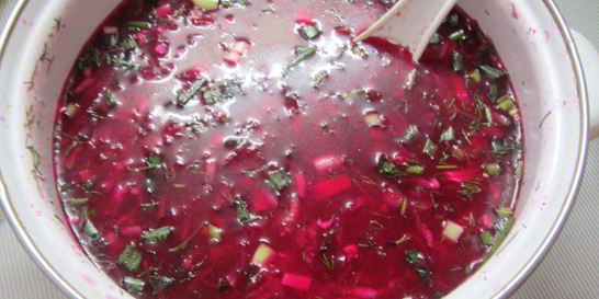 Свекольник летний