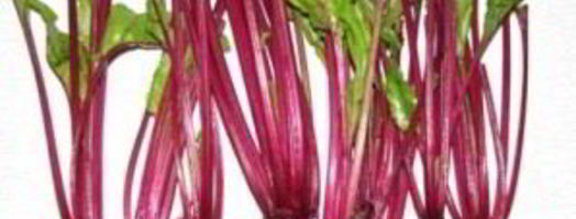 свекольник с листьями свеклы. Шаг 5