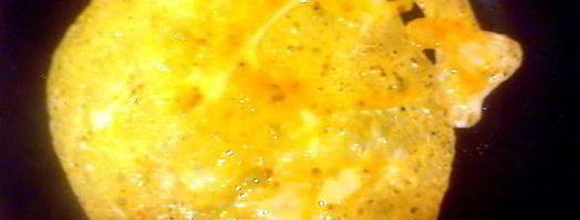 свекольник с яичной путанкой. Шаг 8