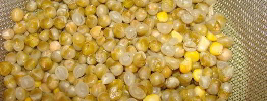 сырный суп с говяжьими ребрами. Шаг 4