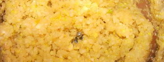 сырный суп с говяжьими ребрами. Шаг 5