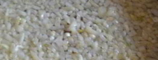 сырный суп с морепродуктами. Шаг 4