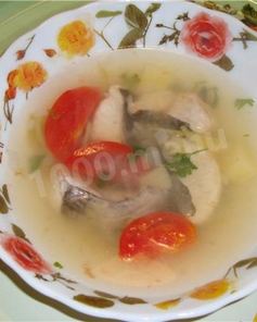 Рыбный суп уха из сома