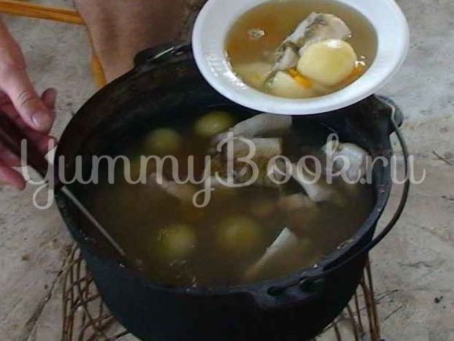 Рецепт ухи двойной по-рязански