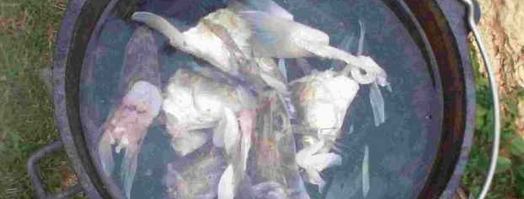 уха двойная по-рязански. Шаг 24