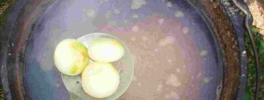 уха двойная по-рязански. Шаг 35