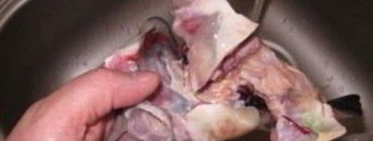 уха из головы осетра. Шаг 3