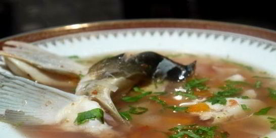 Уха из головы сазана