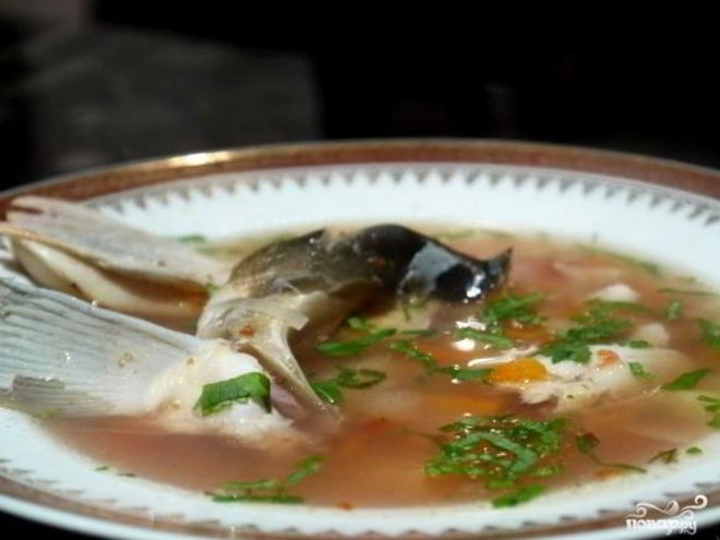 Рецепт ухи из головы сазана