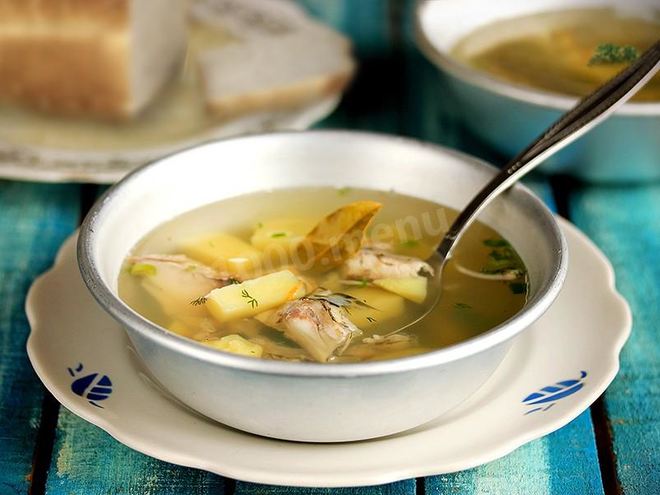 Рецепт ухи из головы щуки