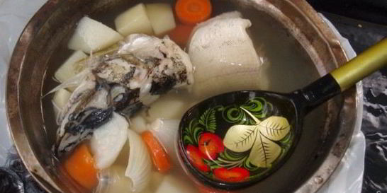 Уха из карпа