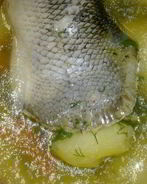 Уха из хвостов лосося