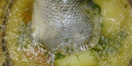 Уха из хвостов лосося