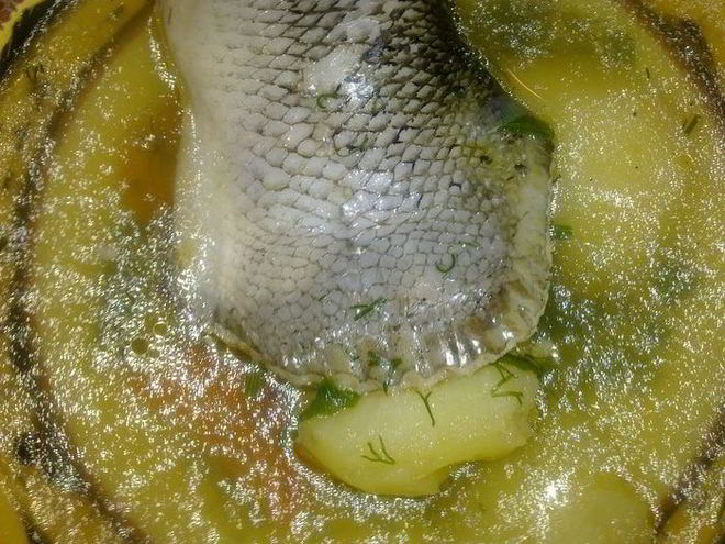 Рецепт ухи из хвостов лосося