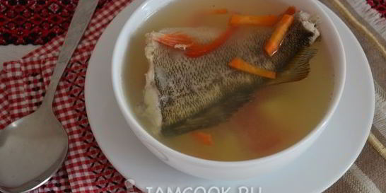 Уха из речного окуня