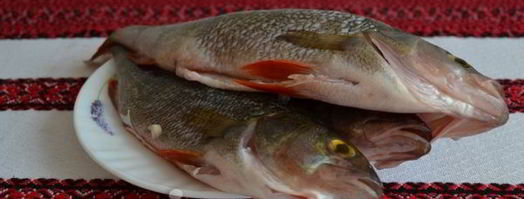 уха из речного окуня. Шаг 5