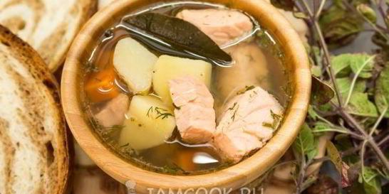 Уха из семги