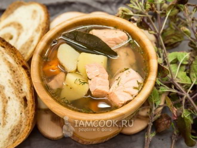 Рецепт ухи из семги