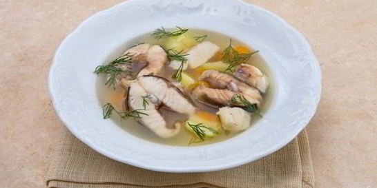 Уха из сома