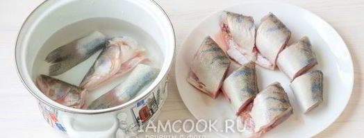 уха из судака по-домашнему. Шаг 5