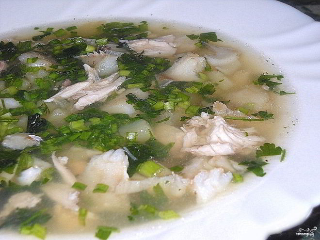 Рецепт ухи из судака