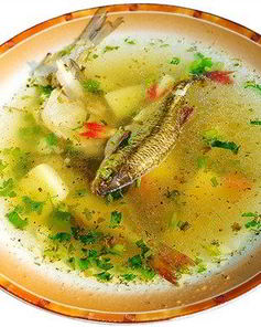 Уха из свежей речной рыбы