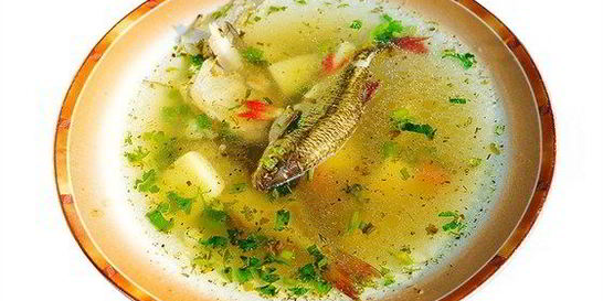 Уха из свежей речной рыбы