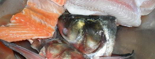 уха из трех видов рыбы. Шаг 5